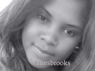 Ynesbrooks