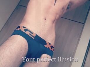 Your_perfect_illusion