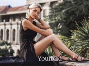 Yourbird