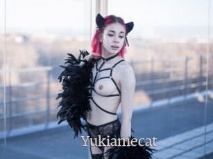 Yukiamecat