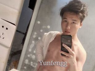 Yunfengg